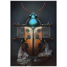 Cargar imagen en el visor de la galería, DECOUPAGE FIBER – BrassScarab