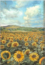 Cargar imagen en el visor de la galería, Paquete de 6 papeles arroz A4 backgrounds - Sunflower Art