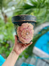 Cargar imagen en el visor de la galería, Clase en Línea_Macetas Vintage_ReciclArte by Olguiux_2