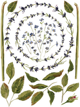 Cargar imagen en el visor de la galería, Transfer - Flores pictóricas | Violetas y rosas (paq. de 2)