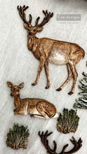 Cargar imagen en el visor de la galería, Molde Silicon – Decor Moulds® – Evergreen Christmas Magic
