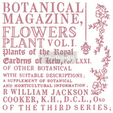 Cargar imagen en el visor de la galería, Sello – BOTANICAL ENCYCLOPEDIA (Re-design)
