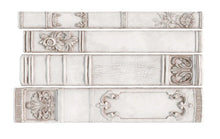 Cargar imagen en el visor de la galería, Molde Silicon IOD - Bookish 6x10 IOD Mould™
