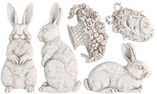 Cargar imagen en el visor de la galería, Molde Silicon IOD - Les Lapins 6x10 IOD Mould™
