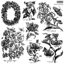 Cargar imagen en el visor de la galería, Sello doble - Nature's Etchings 12x12 IOD Stamp 2 Sheets™
