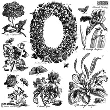 Cargar imagen en el visor de la galería, Sello doble - Nature's Etchings 12x12 IOD Stamp 2 Sheets™
