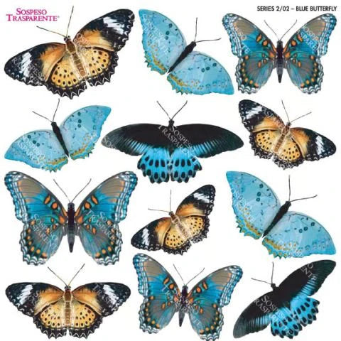 Sospeso Transparente Series 2/02 Blue Butterfly