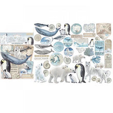 Cargar imagen en el visor de la galería, Estampas de Cartón Surtidas - Antartico Artico
