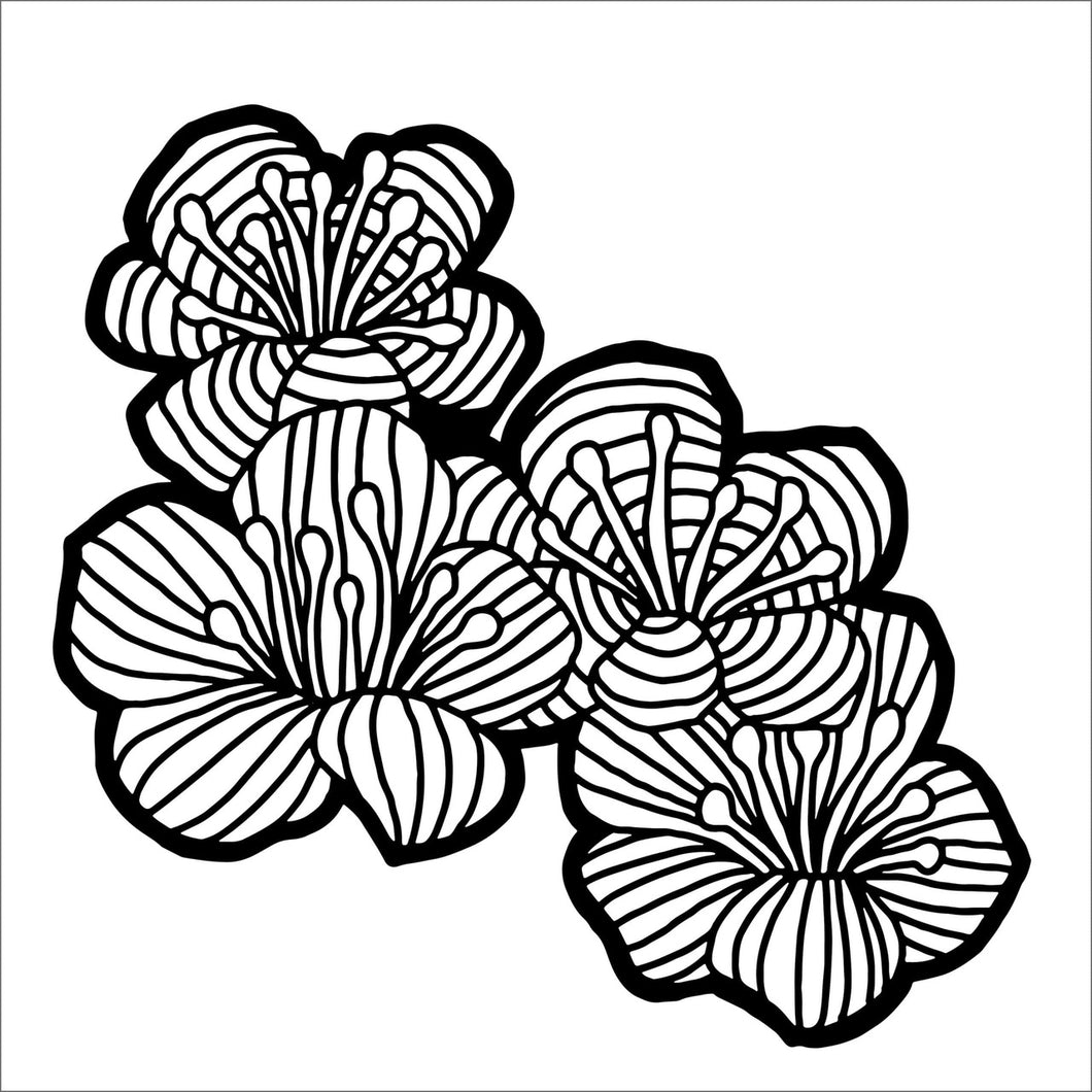 Stencil TCW - Hawthorn Flowers