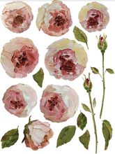 Cargar imagen en el visor de la galería, Transfer - Flores pictóricas | Violetas y rosas (paq. de 2)
